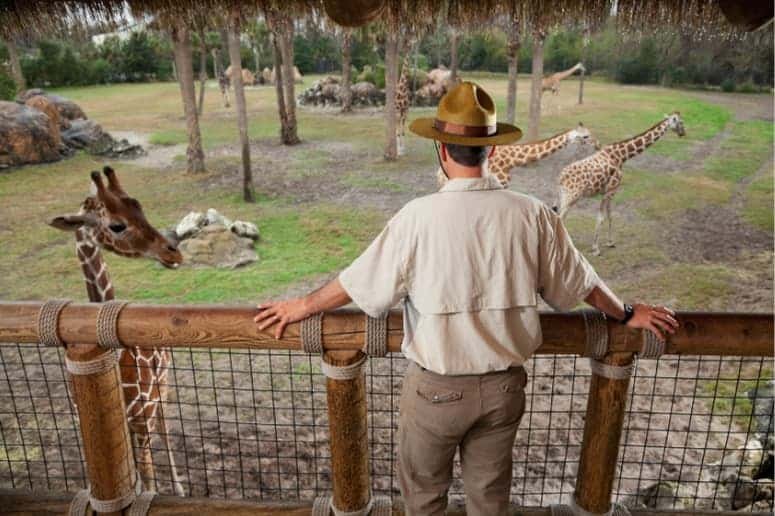soigneur animalier dans un parc animalier
